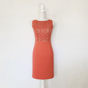 The Limited 4 orangel lace insert, sheath dress